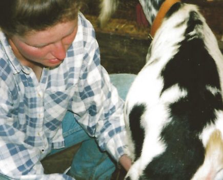 The different types of small-scale dairy production