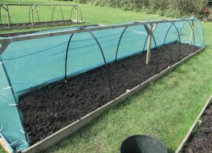 Building a better fruit cage Country Smallholding