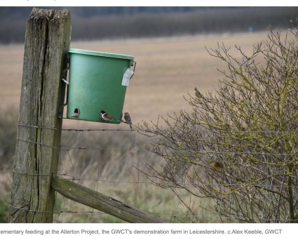 TV presenter and farmer Adam Henson champions the Big Farmland Bird Count 2025