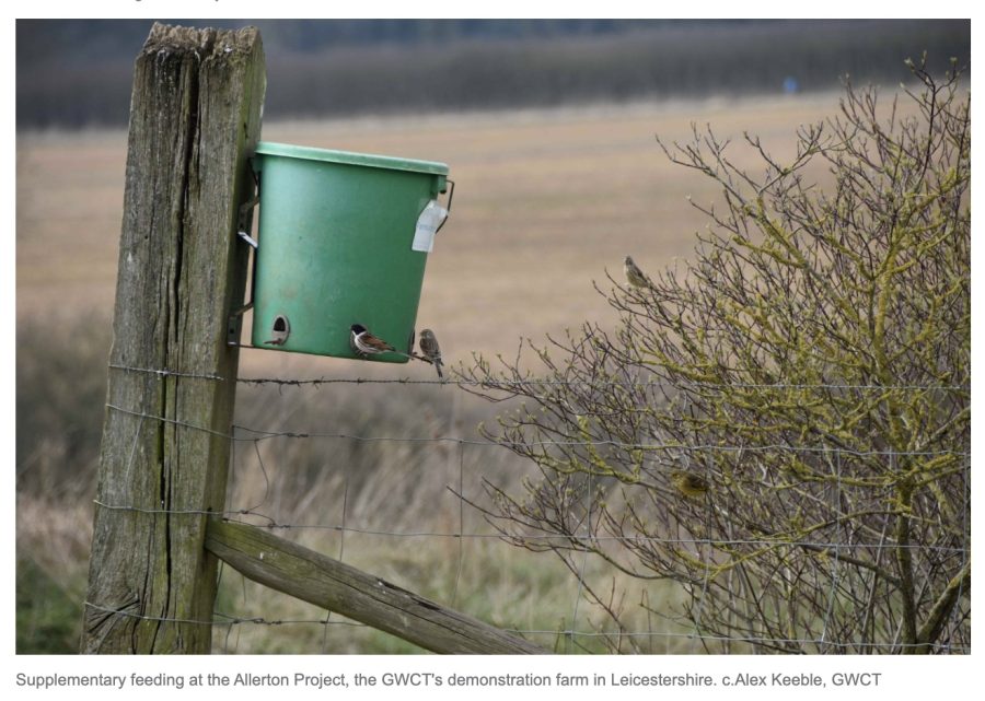 TV presenter and farmer Adam Henson champions the Big Farmland Bird Count 2025