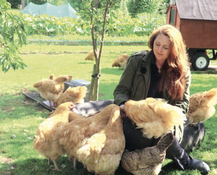 Buying chickens can be a daunting process