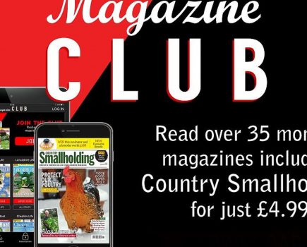 Introducing Magazine Club