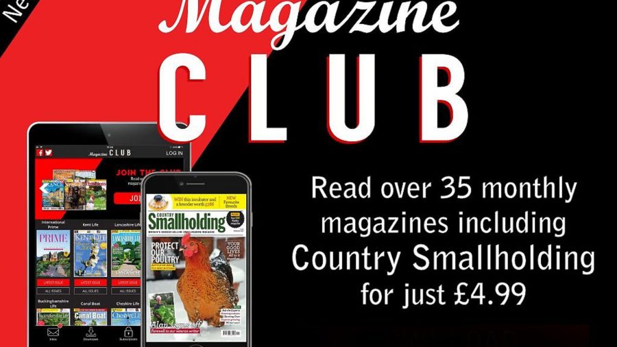Introducing Magazine Club