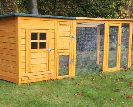 Win a hen house worth nearly £150!