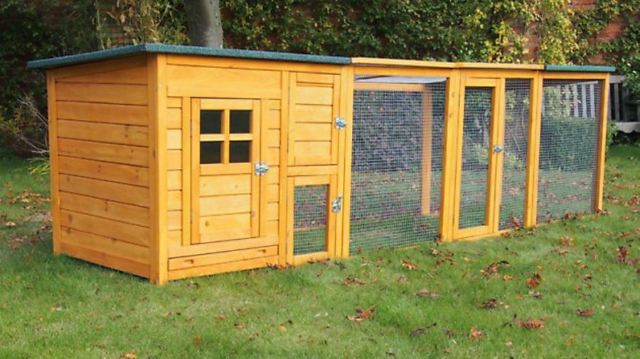 Win a hen house worth nearly £150!