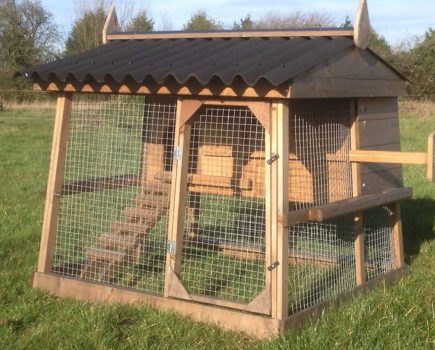 WIN a £345 hen house