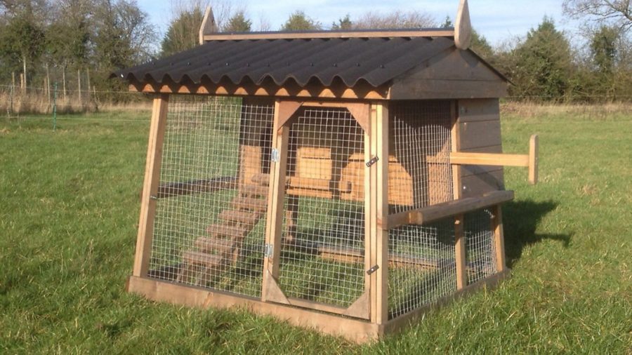 WIN a £345 hen house