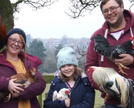 Meet seven-year-old poultry star Freya