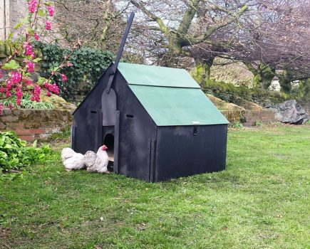 WIN a £399 hen house