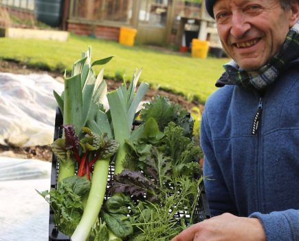 What to grow in winter: sowing & harvesting winter veg