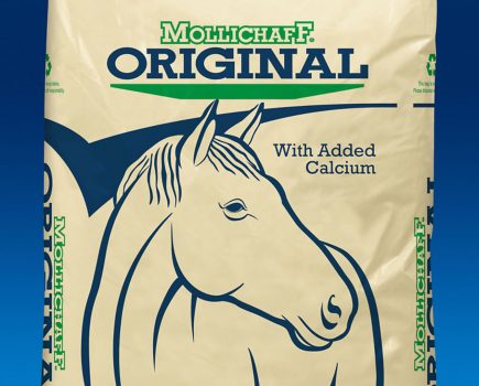 Win five bags of Mollichaff Original