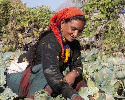 Charity launches appeal to assist female smallholders in Nepal