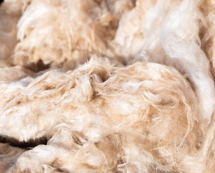 IFA to follow British Wool’s lead in improving wool prices