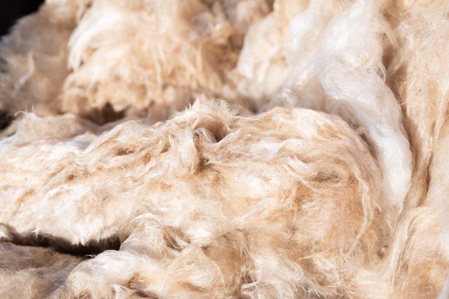 IFA to follow British Wool’s lead in improving wool prices