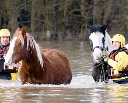 Keeping animals safe during floods