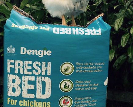 WIN! two bales of Fresh Bed for Chickens