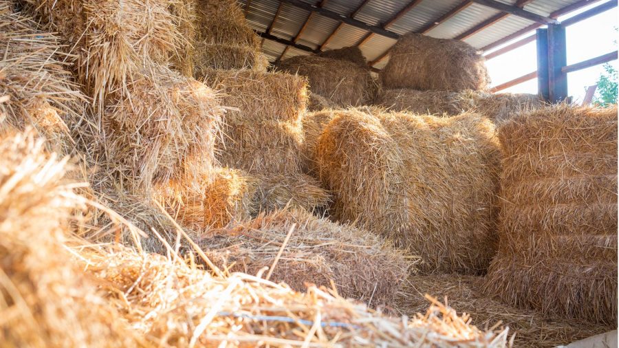 Stakes are high with underinsured haystacks, warns farming expert