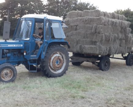 Classic haymaking with old but rejuvenated machinery