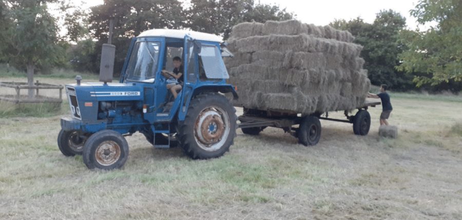 Classic haymaking with old but rejuvenated machinery