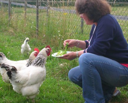 Helen and her hens