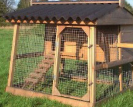 Win a £300 hen house