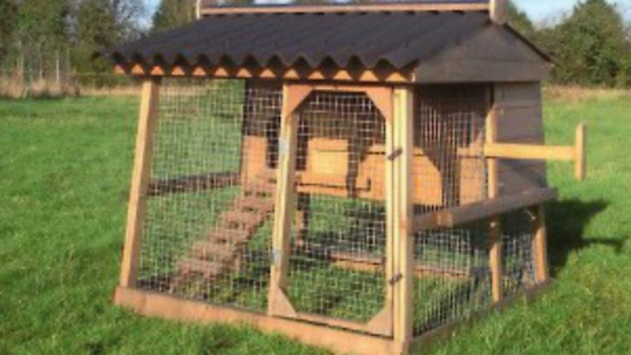 Win a £300 hen house