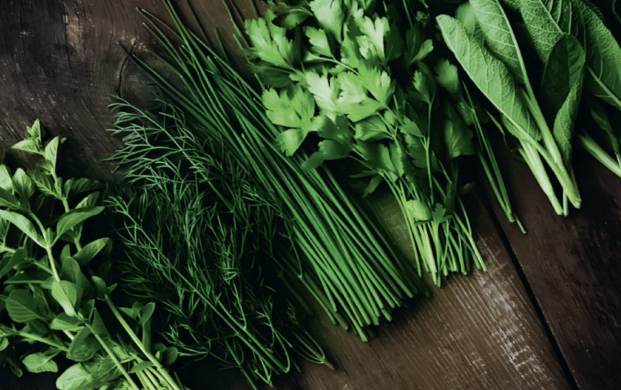 How to grow herbs for every day of the year