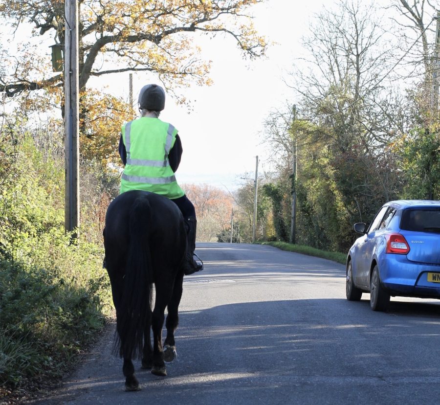 At least one horse killed each week on UK roads