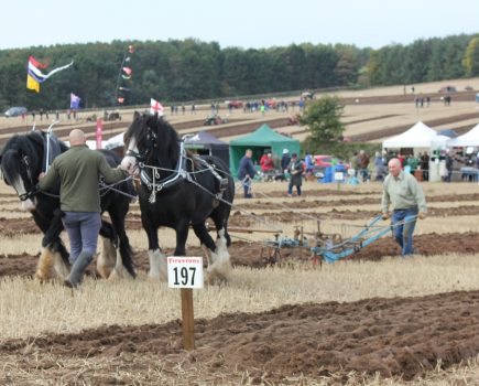 ‘Fingers crossed’ for dry weather at this weekend’s British Ploughing Championships & Country Festival