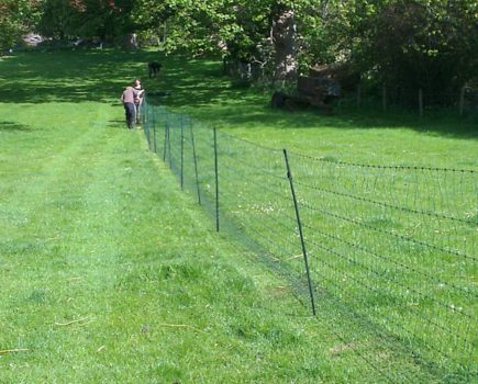 FAQ – Electric Poultry Netting