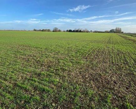Farms to let on Cambridgeshire County Council’s Farms Estate