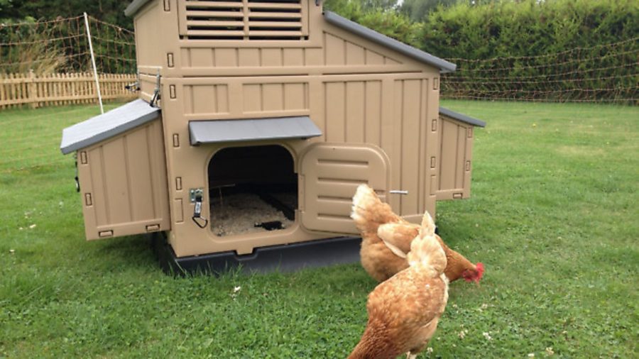 inFocus: Quality hen houses