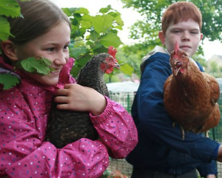Schools help kids to ‘go green’by keeping and nurturing chickens