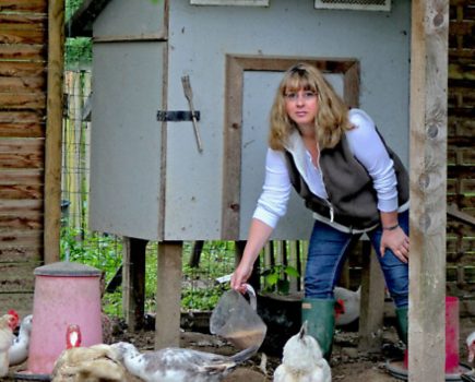 French hens: Tales from the chicken chick in France