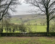 Safeguarding your smallholding – who owns the land?