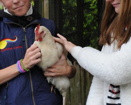 The Sunshine Centre providing vital help to disabled chickens