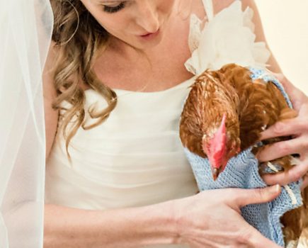 Our chicken wedding