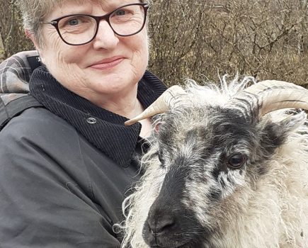 Speakers Announced for RBST Scotland Native Breeds Conference 2025