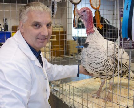 Ban on poultry shows to be lifted