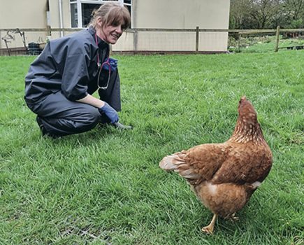 Meet Bristol’s mobile chicken vet