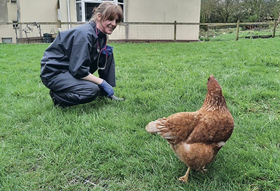 Meet Bristol’s mobile chicken vet