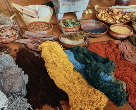 Grow your own plants for natural dyeing