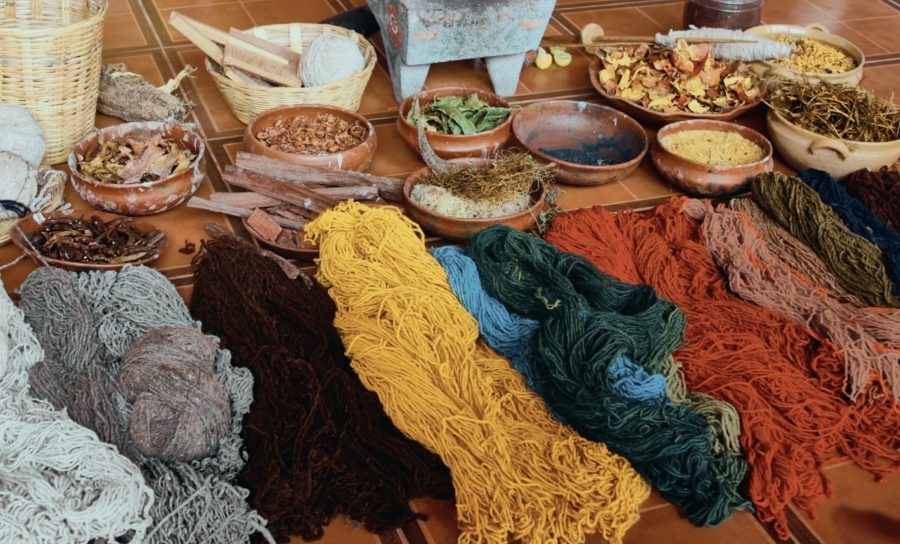 Grow your own plants for natural dyeing