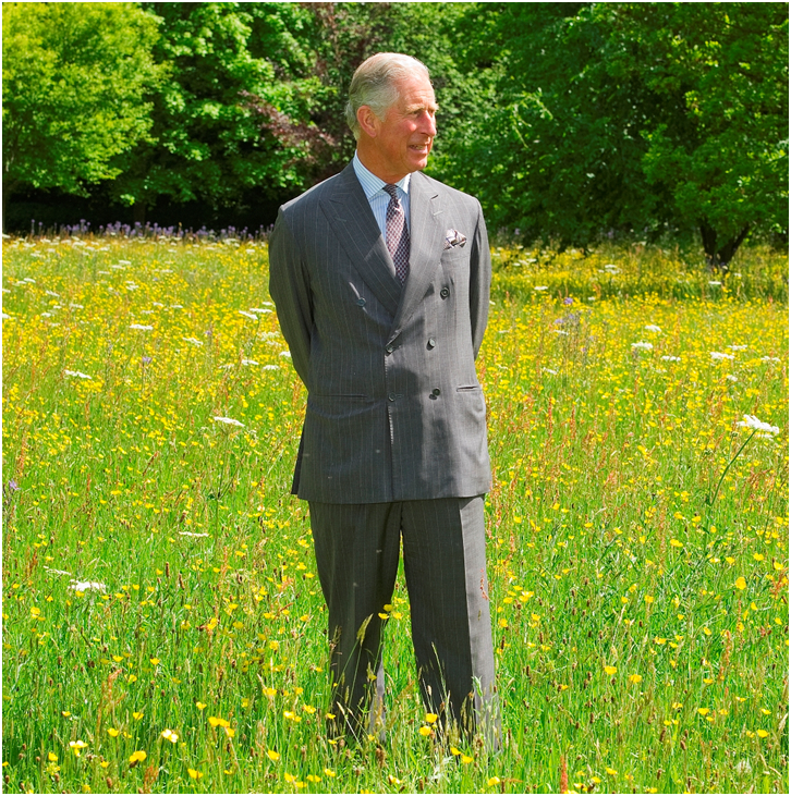 King Charles III continues to support nature with Wildlife Trusts patronage