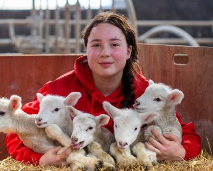 One-in-million quintuplet lambs born at Hartpury