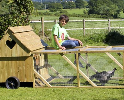 WIN this hen house!