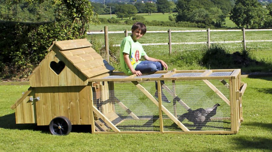 WIN this hen house!