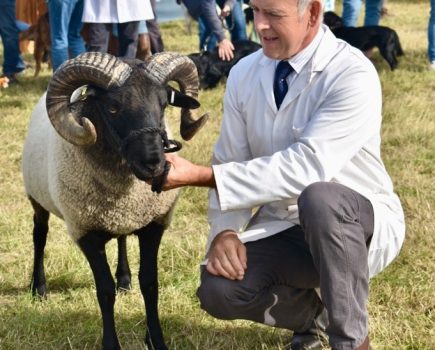 Great Gransden Show 2024 cancelled due to heavy rainfall