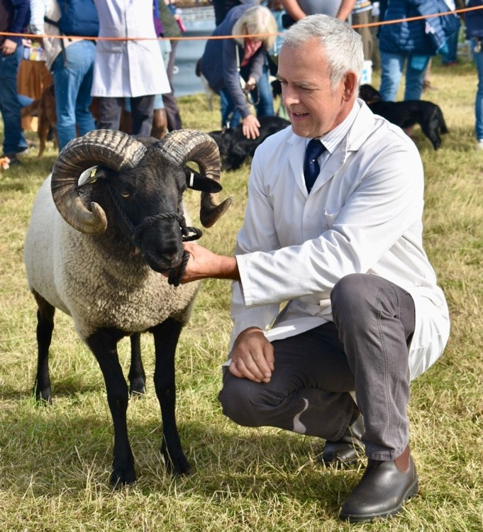 Great Gransden Show 2024 cancelled due to heavy rainfall