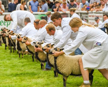 What’s new at the 2023 Royal Welsh Show?